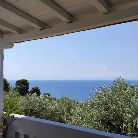 Elia House 1 Astoning Sea View Among The Olive Trees Apartment Patitiri Exterior foto