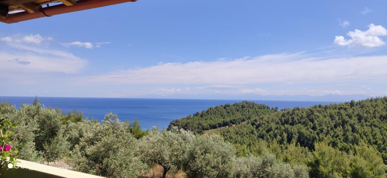 Elia House 1 Astoning Sea View Among The Olive Trees Apartment Patitiri Exterior foto