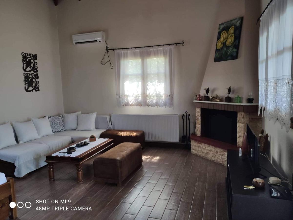 Elia House 1 Astoning Sea View Among The Olive Trees Apartment Patitiri Exterior foto