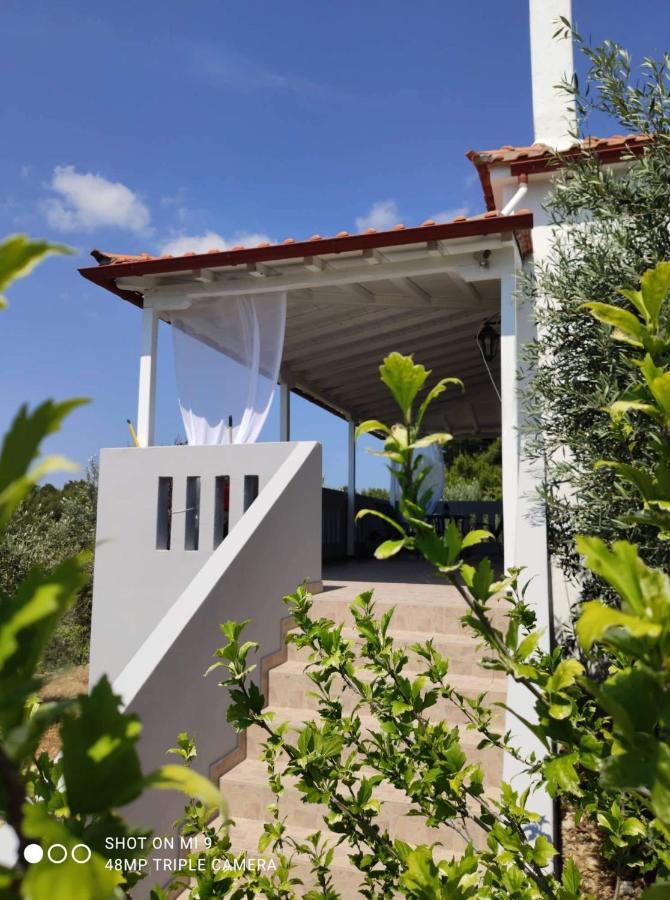 Elia House 1 Astoning Sea View Among The Olive Trees Apartment Patitiri Exterior foto