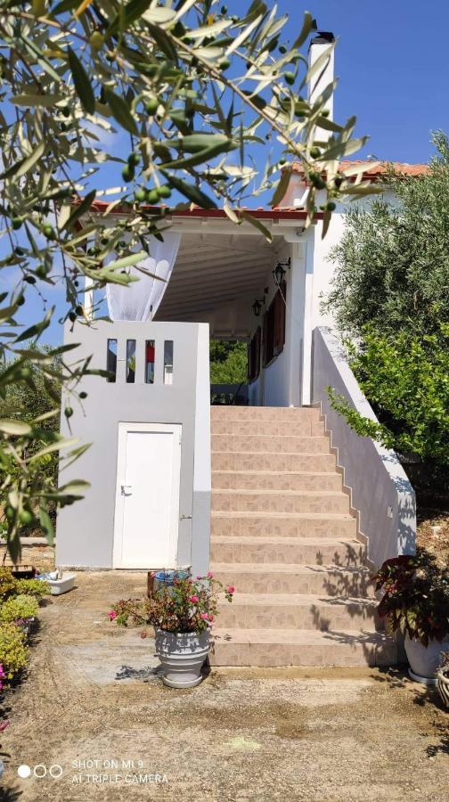 Elia House 1 Astoning Sea View Among The Olive Trees Apartment Patitiri Exterior foto
